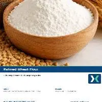 Premium Refined Wheat Flour Export Quality