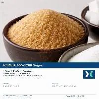 Premium Icumsa 600 - 1200 Sugar Export