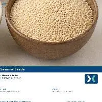 Premium Indian Sesame Seeds Export Quality