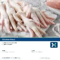 Premium Frozen Chicken Paws Export Quality