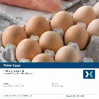 Premium Fresh Table Eggs Export Quality