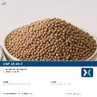 Premium DAP 18-46-0 Fertilizer Export Quality