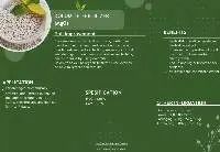 Dolomite Fertilizer MgO