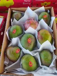 Premium Egyptian Mango ( Naomi - Keit )