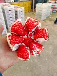 Premium Quality Egyptian Pomegranate