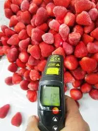 Dried Strawberries (( whole & slices ))