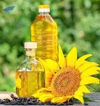 Premium Refined Sunflower Oil Export Quality 
