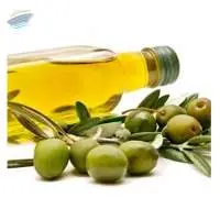 Premium Extra Virgin Olive Oil Export Quality 