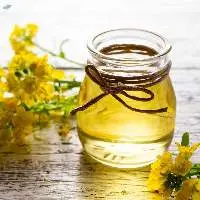 100% Pure Refined Canola Oil