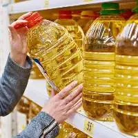 Wholesale Refined Canola Oil