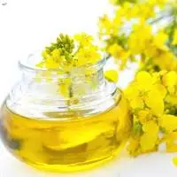 Premium Refined Rapeseed Oil