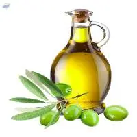 Natural Premium Olive Oil Wholesale Supplier