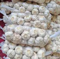 Fresh White Garlic for International Buyers