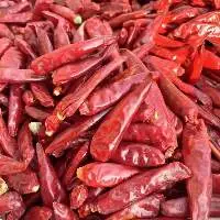 Premium Quality Dried Red Chilies for Export