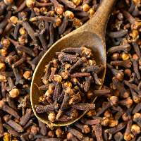 Natural Premium Cloves Bulk Supply Export