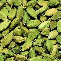 Natural Green Cardamom Wholesale Export