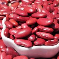 Fresh Kidney Beans Bulk Supply Worldwide