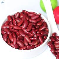 Premium Red Beans for Global Wholesale Buyers