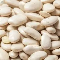 High Quality White Beans for Wholesale