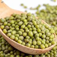 High Quality Green Mung Beans Bulk Supply