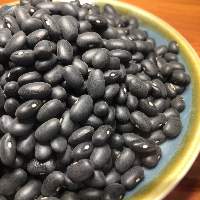 Fresh Black Beans for International Buyers