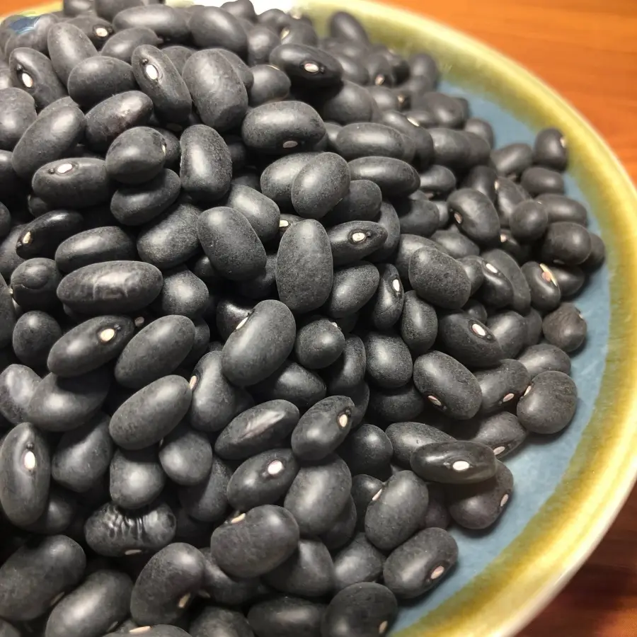 Fresh Black Beans for International Buyers