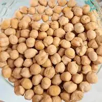 Fresh Chickpeas for Wholesale Export Markets