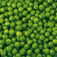 Fresh Green Peas for International Buyers