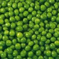 Fresh Green Peas for International Buyers