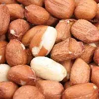 Premium Peanuts for Global Wholesale Buyers