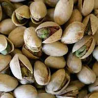 High Grade Pistachios for Export & Wholesale