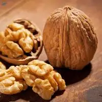 Export Quality Walnuts for Bulk Buyers