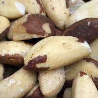 High Quality Brazil Nuts Wholesale Export