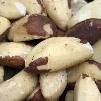 High Quality Brazil Nuts Wholesale Export