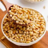 High Quality Pine Nuts at Wholesale Prices