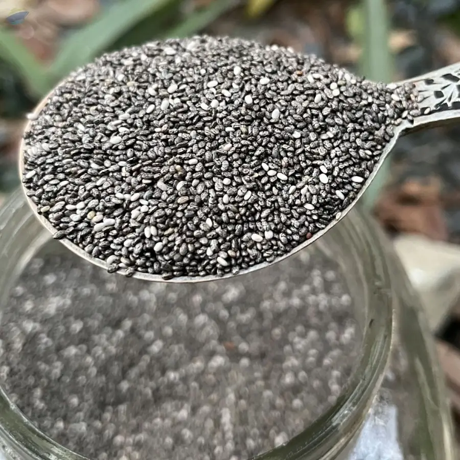 High Quality Chia Seeds Export Supplier