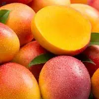 Premium Fresh Mangoes for Global Buyers