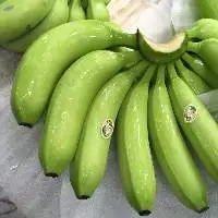 Premium Fresh Bananas for Global Buyers