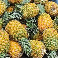Fresh Sweet Pineapples for Global Buyers