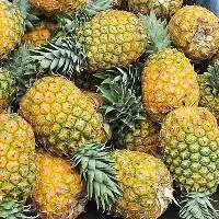 Fresh Sweet Pineapples for Global Buyers