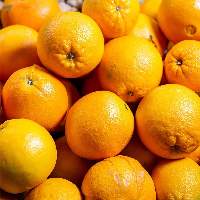 Premium Fresh Oranges for Global Buyers