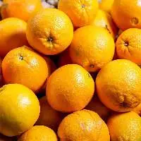 Premium Fresh Oranges for Global Buyers