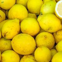 High Quality Fresh Lemons for Export
