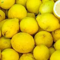 High Quality Fresh Lemons for Export