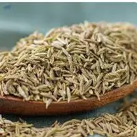 High Quality Cumin Seeds Global Export