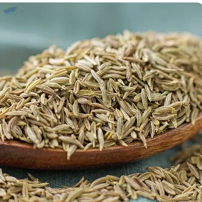 High Quality Cumin Seeds Global Export