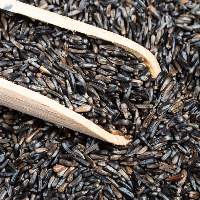 Natural Niger Seeds for Bulk Export