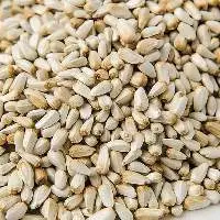 High Quality Safflower Seeds Bulk Supply