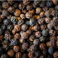 Premium Export Quality Black Pepper