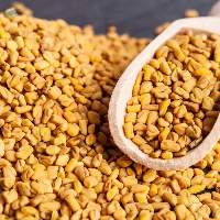 Premium Export Grade Fenugreek Seeds